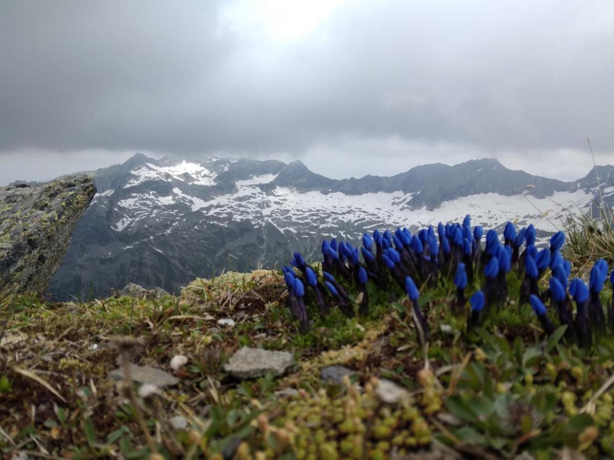 Ferienhaus Herrenschmiede Obervellach Εξωτερικό φωτογραφία