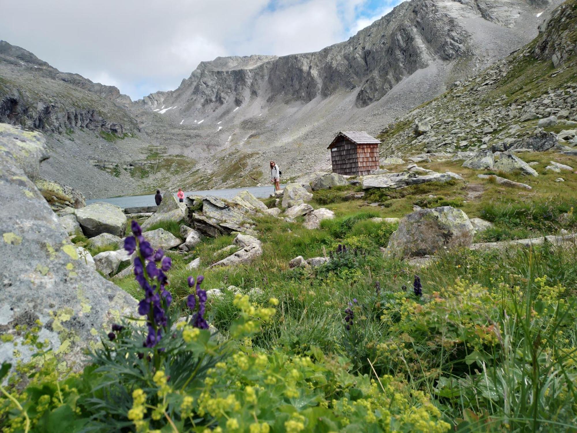 Ferienhaus Herrenschmiede Obervellach Εξωτερικό φωτογραφία