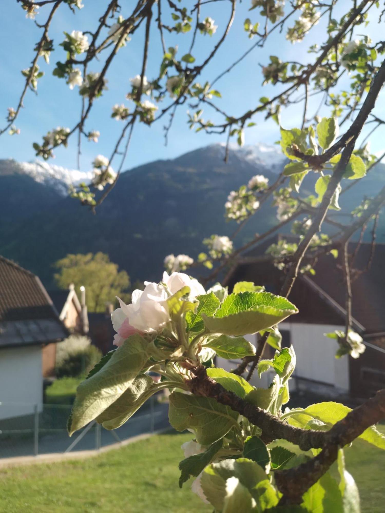 Ferienhaus Herrenschmiede Obervellach Εξωτερικό φωτογραφία